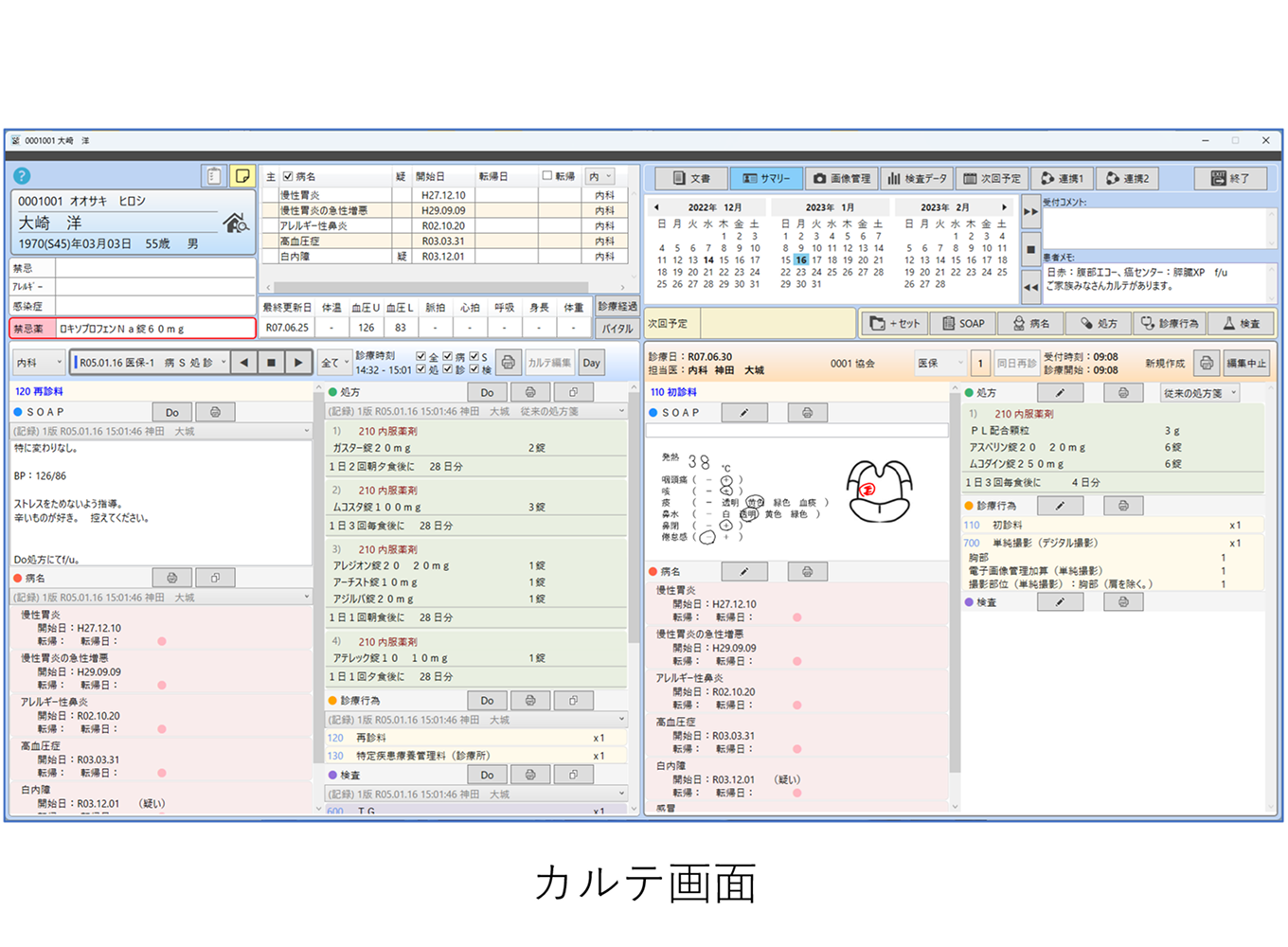 医師協 Zebra for Cloud-Karte画像01
